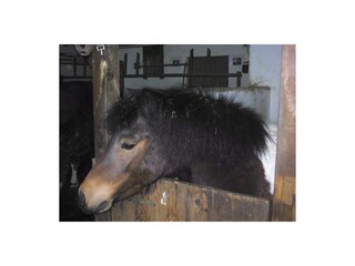 Ferienwohnung Schönau am Königssee Außenaufnahme 13