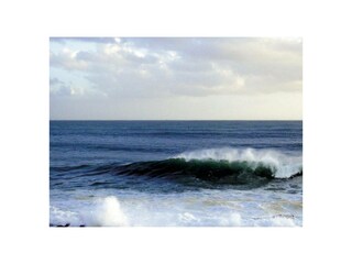 Ferienwohnung Hage Außenaufnahme 14