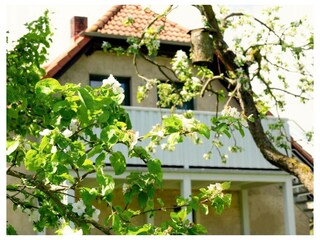 Ferienwohnung Stolpe auf Usedom Außenaufnahme 13