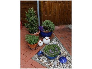 Ferienwohnung Carolinensiel Außenaufnahme 18