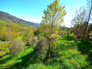 Villa Borghetto di Vara Grabación al aire libre 7