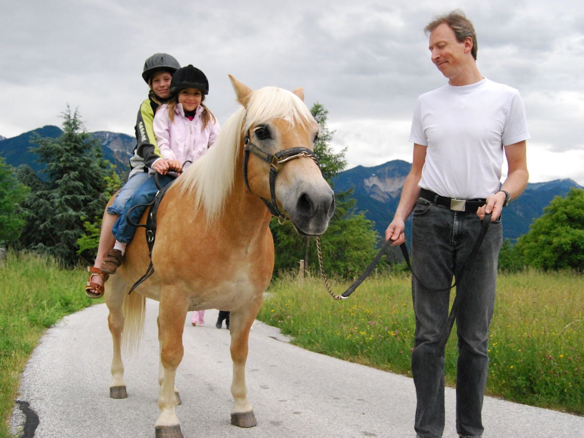 Reiten am Hof