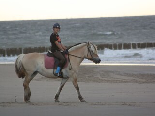 Vakantiehuis Oostkapelle Omgeving 29