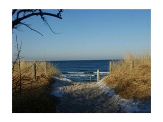 Ferienwohnung Graal-Müritz Außenaufnahme 24