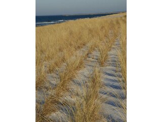 Ferienwohnung Graal-Müritz Außenaufnahme 27