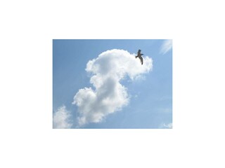 Ferienwohnung Graal-Müritz Außenaufnahme 35