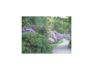 Ferienwohnung Graal-Müritz Außenaufnahme 36