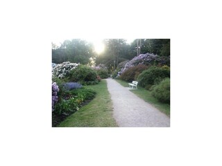 Ferienwohnung Graal-Müritz Außenaufnahme 40