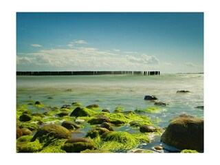 Ferienwohnung Dranske Außenaufnahme 14
