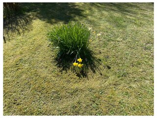 Ferienwohnung Dranske Außenaufnahme 21