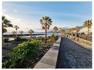 Ferienwohnung Candelaria (Teneriffa) Außenaufnahme 34