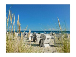 Ferienwohnung Trassenheide Außenaufnahme 12