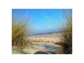 Ferienwohnung Trassenheide Außenaufnahme 13