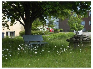 Ferienwohnung Wittdün Außenaufnahme 7