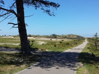 Vakantiehuis Schoorl Omgeving 20