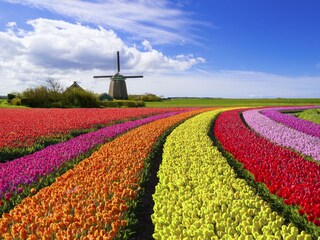 Casa per le vacanze Schoorl Ambiente 25