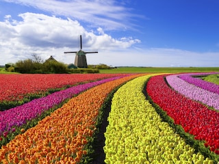 Vakantiehuis Schoorl Omgeving 25