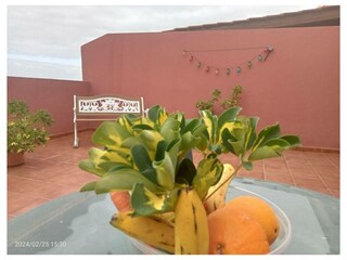 Ferienwohnung Puerto de la Cruz Außenaufnahme 4