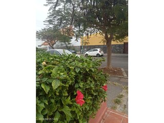 Ferienwohnung Puerto de la Cruz Außenaufnahme 30