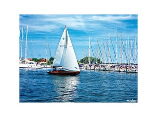 Ferienwohnung Wiek Außenaufnahme 16