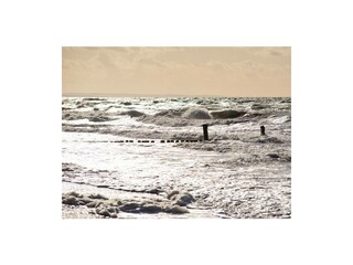 Ferienwohnung Graal-Müritz Außenaufnahme 18