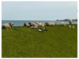 Ferienwohnung Marienleuchte Außenaufnahme 25
