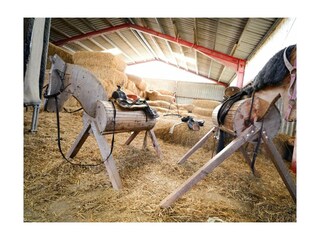 Ferienwohnung Schwienkuhl Außenaufnahme 10