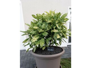 Ferienwohnung Putgarten Außenaufnahme 4