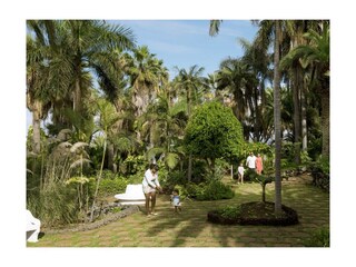 Ferienwohnung Puerto de la Cruz Außenaufnahme 7