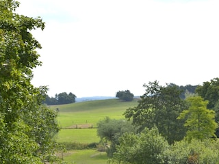 Blick vom Balkon