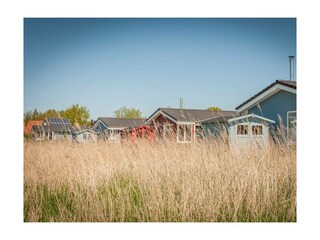 Ferienwohnung Dorum-Neufeld Außenaufnahme 14