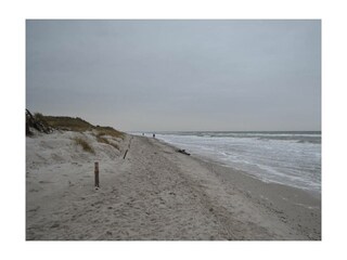 Ferienwohnung Prerow Außenaufnahme 12