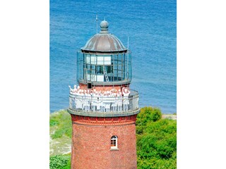 Ferienwohnung Wieck Außenaufnahme 12