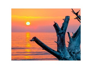 Ferienwohnung Wieck Außenaufnahme 15