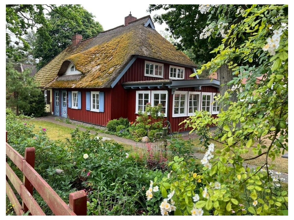 Ferienwohnung Prerow Außenaufnahme 1