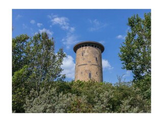 Ferienwohnung Domburg Außenaufnahme 19