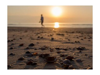 Ferienwohnung Domburg Außenaufnahme 23