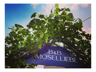 Ferienwohnung Ediger-Eller Außenaufnahme 7