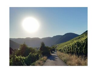 Ferienwohnung Ediger-Eller Außenaufnahme 9