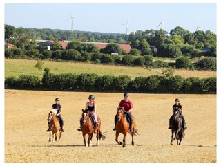 Ferienwohnung Schwienkuhl Außenaufnahme 18