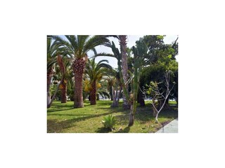 Ferienwohnung Puerto de la Cruz Außenaufnahme 14