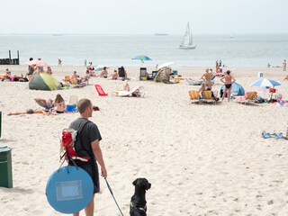 Ferienwohnung Dishoek Umgebung 18
