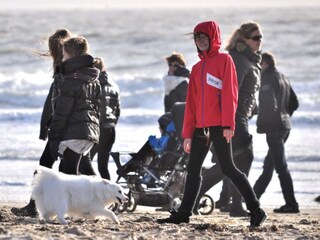 Ferienwohnung Dishoek Umgebung 23