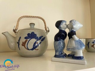 Vakantieappartement Dishoek Kenmerken 6