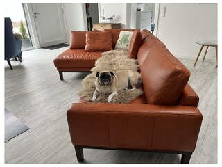 Ferienwohnung Steinhude Außenaufnahme 5