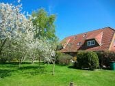 Ferienwohnung Puttgarden Außenaufnahme 1