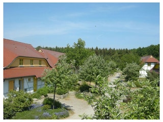 Ferienwohnung Bakenberg Außenaufnahme 13