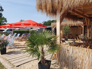 Leckere Tapas etc. sowie  Cocktails in der Beachsbar