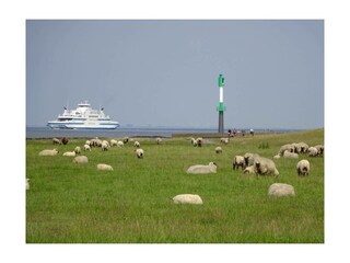 Ferienwohnung Otterndorf Außenaufnahme 16