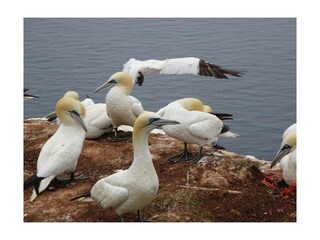Ferienwohnung Otterndorf Außenaufnahme 26